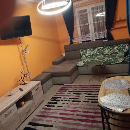 Uroczy Apartament 克拉科夫 外观 照片