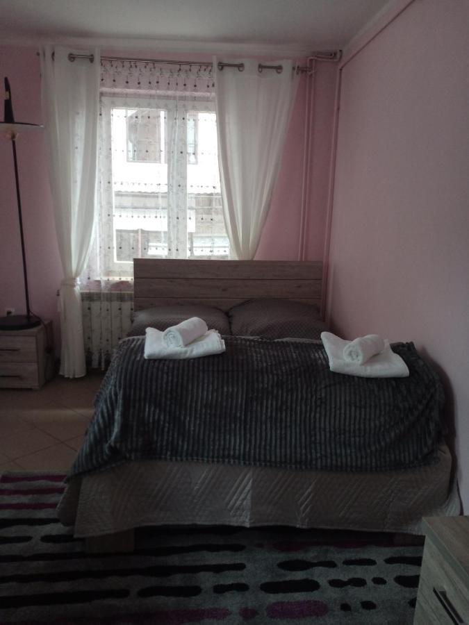 Uroczy Apartament 克拉科夫 外观 照片