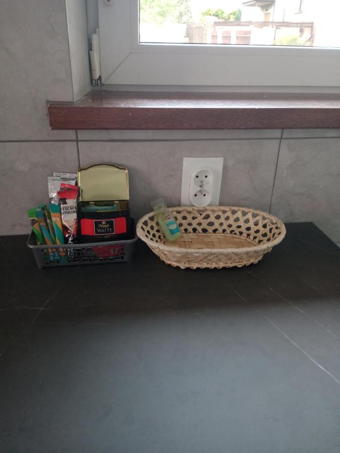 Uroczy Apartament 克拉科夫 外观 照片