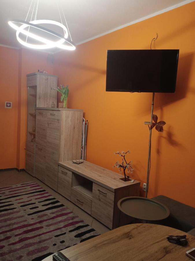 Uroczy Apartament 克拉科夫 外观 照片