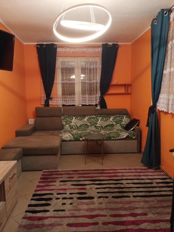Uroczy Apartament 克拉科夫 外观 照片