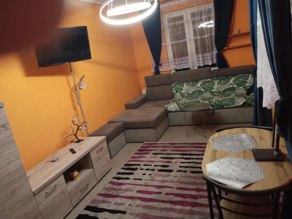 Uroczy Apartament 克拉科夫 外观 照片